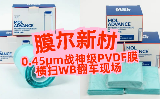 “膜”力加倍！膜尔新材战神级PVDF膜横扫WB翻车现场—0.45μm精准孔径狙杀各类蛋白，背景纯净如冰川